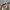 Japanese brand Casual Casual pants Pria khaki photo 4