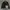 Casual Track jacket Pria black photo 5