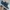 Tod's Casual Sneakers Pria blue photo 2
