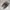 Tod's Casual Sneakers Pria tan brown photo 4