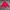 Streetwear Casual Cardigan Pria green red photo 2