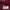 Uniqlo Casual Puffer jacket Wanita burgundy photo 3