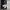 Charles and Keith Minimalist Wallet Wanita black photo 4