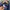 Adidas Casual Puffer jacket Pria navy photo 8