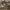 American Eagle Casual Reworked Heels Wanita Tan Gray