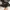 New Era Casual Hat Pria black photo 1