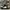Nike Skater Casual Sneakers Pria white black photo 3
