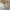Patagonia Casual Hat Pria cream photo 4