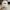 Patagonia Casual Hat Pria cream photo 2