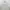 Streetwear Sportswear Windbreaker Pria white photo 6