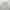 Streetwear Sportswear Windbreaker Pria white photo 5