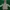 Fila Minimalist Casual Hoody Kids white photo 2