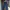Dickies Streetwear Skater Casual pants Pria navy photo 1