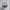 Adidas Casual T-shirt Pria white photo 4