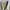 Japanese brand Vintage Casual Harrington jacket Pria tan photo 5