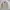 Japanese brand Vintage Casual Harrington jacket Pria tan photo 1