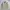 Japanese Brand Vintage Casual Harrington Jacket Pria Tan