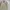 Japanese brand Vintage Casual Harrington jacket Pria tan photo 2