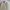 Japanese Brand Vintage Casual Harrington Jacket Pria Tan