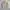 Japanese brand Vintage Casual Harrington jacket Pria tan photo 7