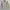 Japanese brand Vintage Casual Harrington jacket Pria tan photo 3