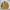 Japanese brand Vintage Harrington jacket Pria tan photo 1