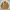 Japanese Brand Vintage Harrington Jacket Pria Tan