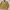 Japanese brand Vintage Harrington jacket Pria tan photo 2