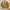 Japanese brand Vintage Harrington jacket Pria tan photo 8