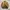 Japanese brand Vintage Harrington jacket Pria tan photo 6