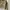 Polo Ralph Lauren Vintage Harrington jacket Pria tan photo 3