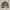Polo Ralph Lauren Vintage Harrington jacket Pria tan photo 5