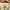 Calvin Klein Luxury Midi dress Wanita multicolor photo 5