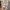 Calvin Klein Luxury Midi dress Wanita multicolor photo 3