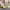 Calvin Klein Luxury Midi dress Wanita multicolor photo 4