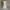 Calvin Klein Luxury Midi dress Wanita multicolor photo 1