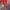 MLB Streetwear Varsity Jacket Pria Red