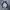 MLB Streetwear Varsity jacket Pria white blue photo 1