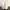 Gucci Luxury Sneakers Wanita white photo 7