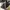 Casual Stroller Kids black gray photo 3