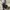 Casual Stroller Kids black gray photo 1