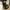 Casual Stroller Kids black gray photo 5