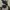 Casual Stroller Kids black gray photo 4