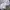 Givenchy Sportswear Cosplay Midi dress Wanita white photo 8