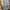 Minimalist Casual Maxi dress Wanita blue photo 1