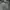 Adidas Y2K Sportswear Hoody Pria white gray photo 4