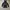Grunge Emo Puffer jacket Pria black photo 2