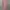 Minimalist Blouse Wanita pink photo 1