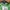 Polo Ralph Lauren Casual Polo shirt Pria green photo 3