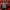 Karl Kani Y2K Windbreaker Pria black red photo 6